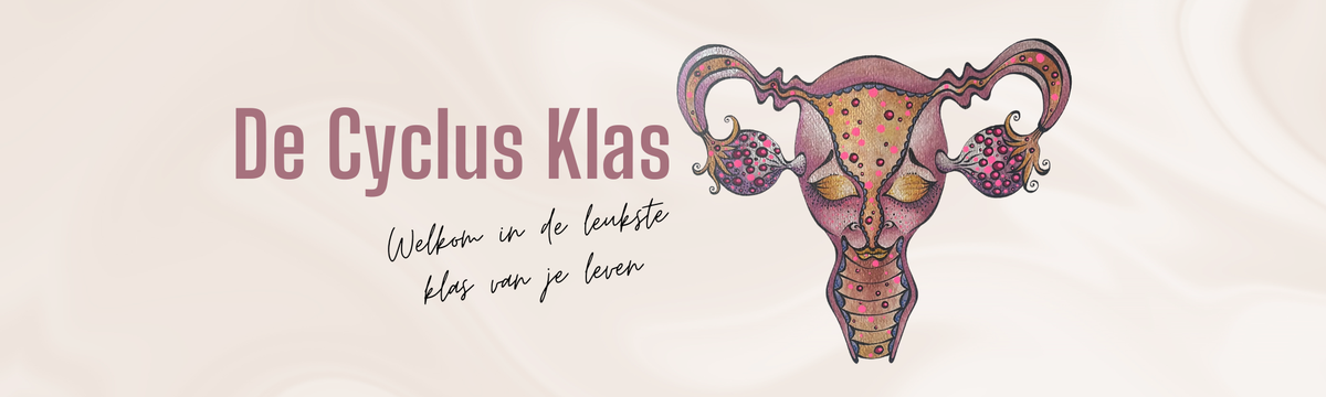 Ontdek de kracht van je cyclus